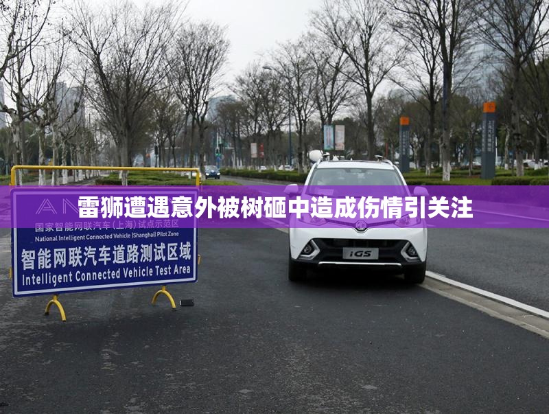 雷狮遭遇意外被树砸中造成伤情引关注