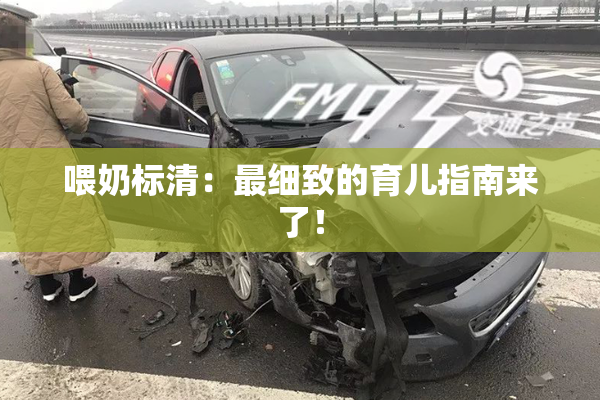 喂奶标清：最细致的育儿指南来了！