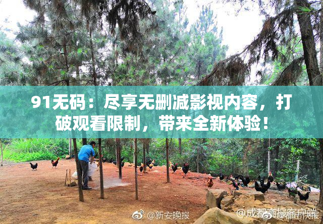 91无码：尽享无删减影视内容，打破观看限制，带来全新体验！