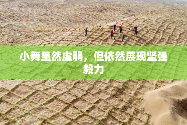 小舞虽然虚弱，但依然展现坚强毅力