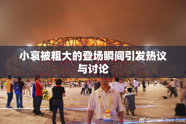 小哀被粗大的登场瞬间引发热议与讨论