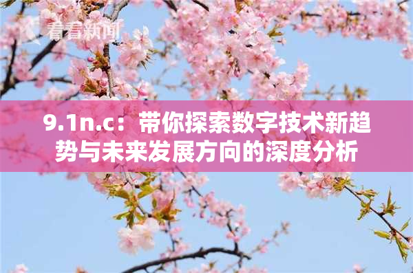 9.1n.c：带你探索数字技术新趋势与未来发展方向的深度分析