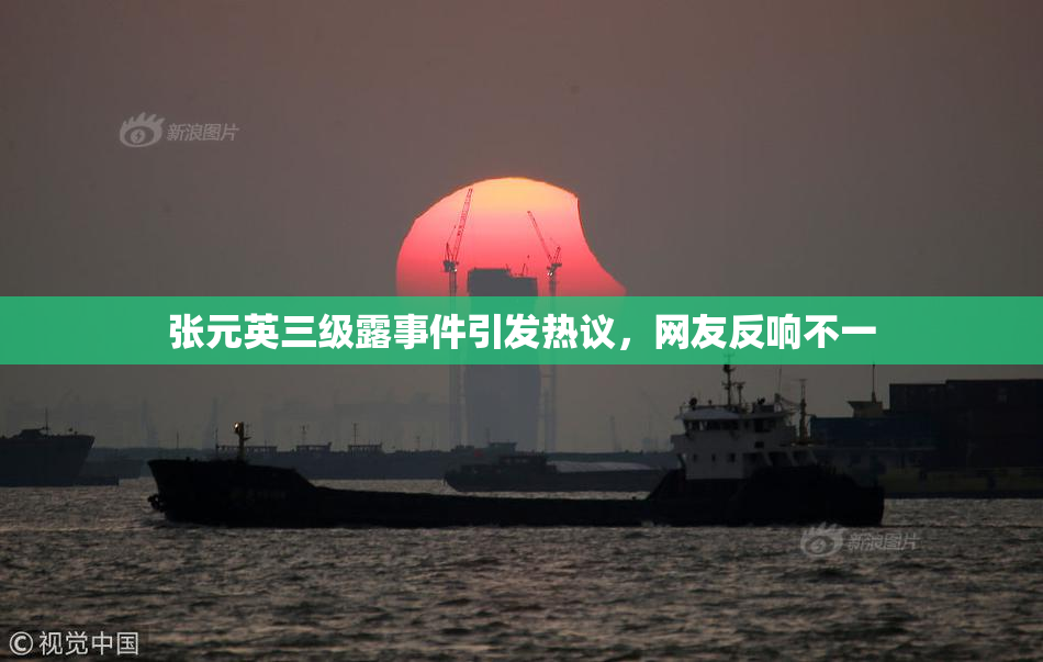 张元英三级露事件引发热议，网友反响不一