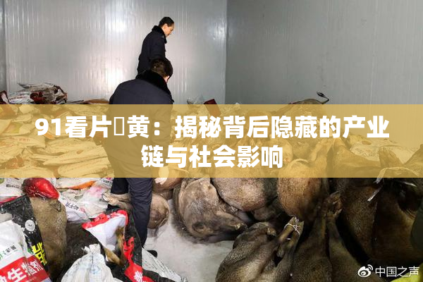 91看片婬黄：揭秘背后隐藏的产业链与社会影响