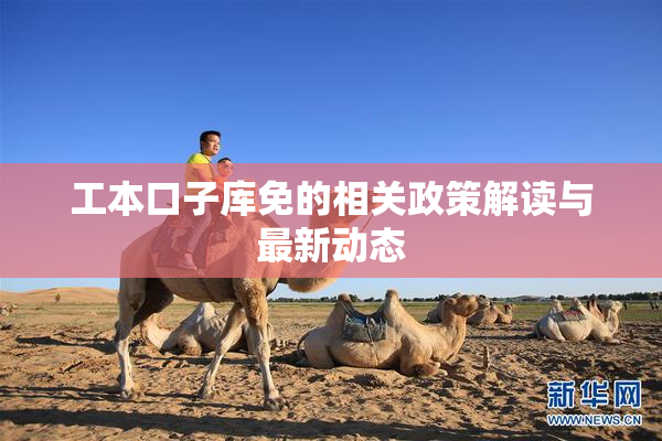 工本口子库免的相关政策解读与最新动态