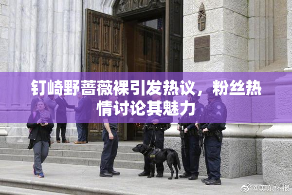钉崎野蔷薇裸引发热议，粉丝热情讨论其魅力