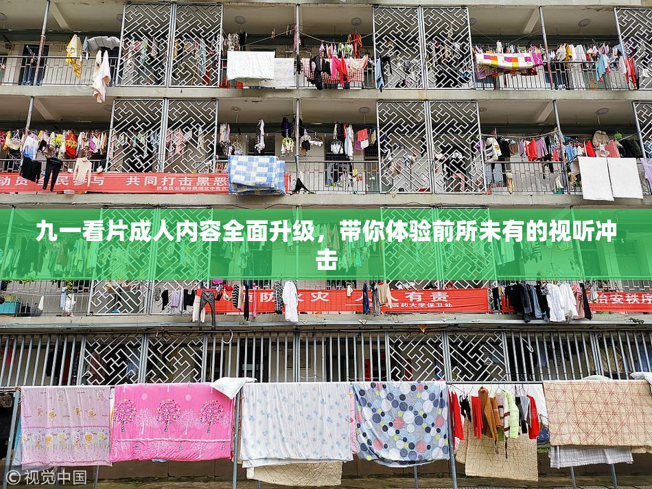九一看片成人内容全面升级，带你体验前所未有的视听冲击