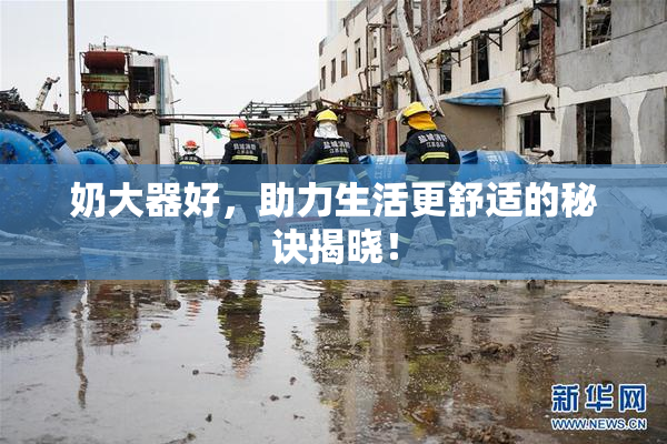 奶大器好，助力生活更舒适的秘诀揭晓！