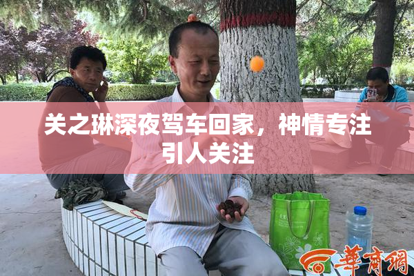 关之琳深夜驾车回家，神情专注引人关注