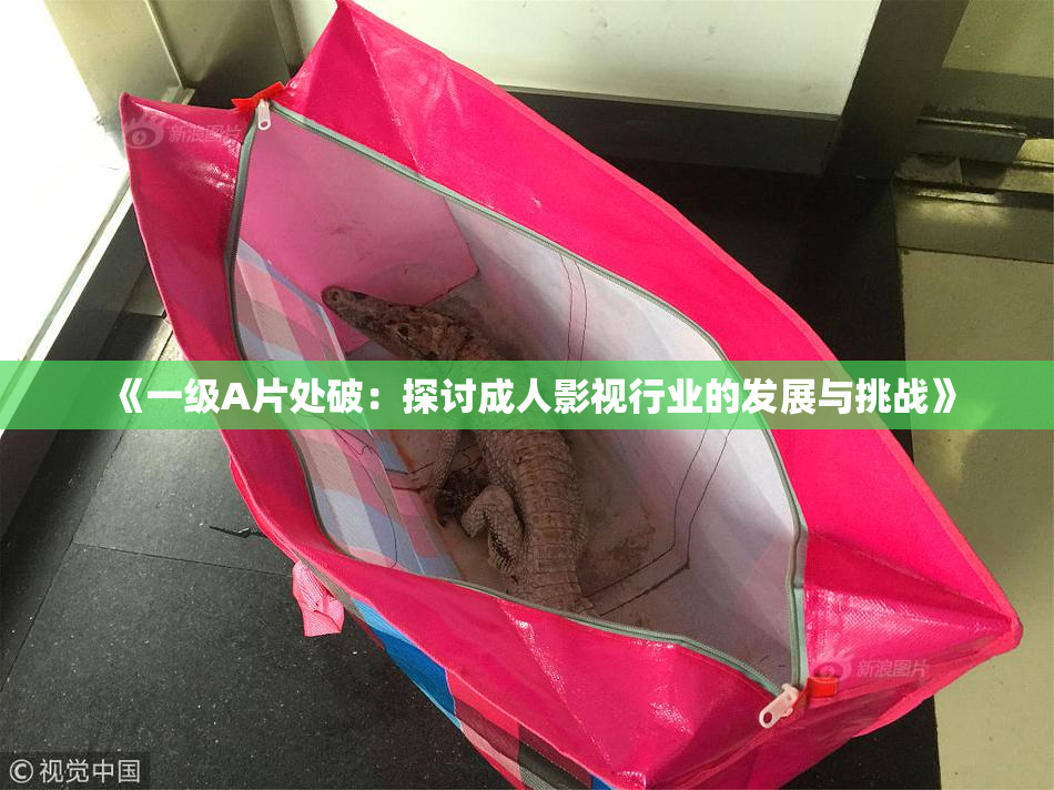 《一级A片处破：探讨成人影视行业的发展与挑战》