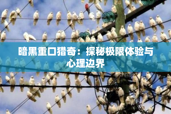 暗黑重口猎奇：探秘极限体验与心理边界