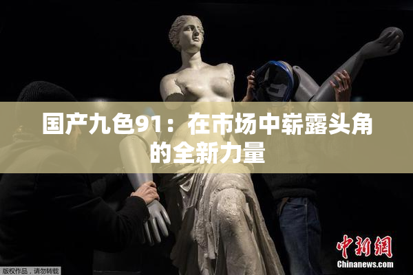 国产九色91：在市场中崭露头角的全新力量