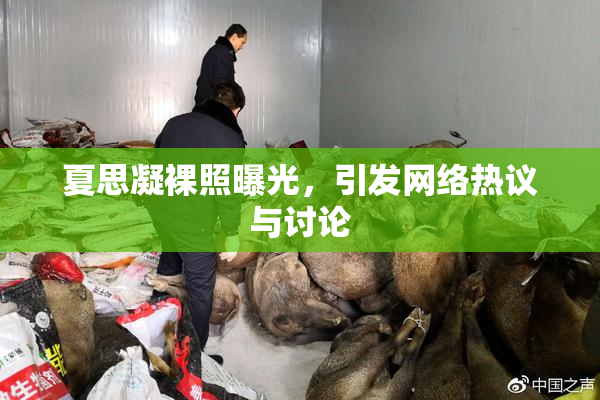 夏思凝裸照曝光，引发网络热议与讨论