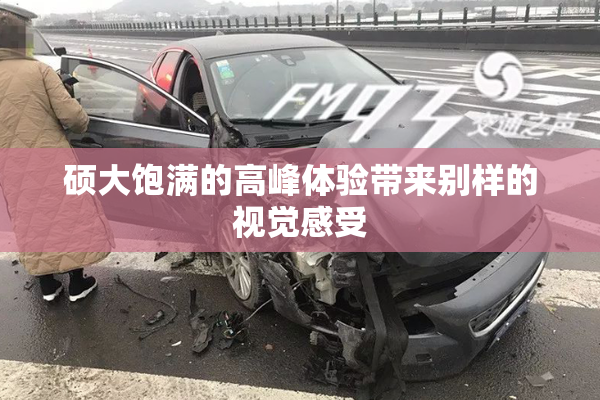 硕大饱满的高峰体验带来别样的视觉感受