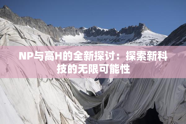 NP与高H的全新探讨：探索新科技的无限可能性