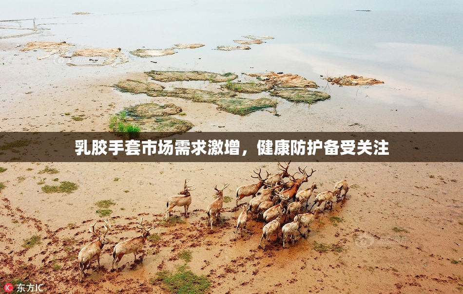乳胶手套市场需求激增，健康防护备受关注