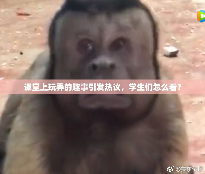 课堂上玩弄的趣事引发热议，学生们怎么看？