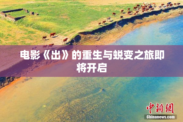 电影《出》的重生与蜕变之旅即将开启