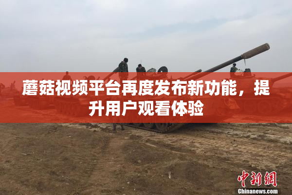 蘑菇视频平台再度发布新功能，提升用户观看体验