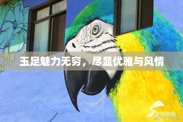 玉足魅力无穷，尽显优雅与风情
