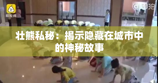 壮熊私秘：揭示隐藏在城市中的神秘故事