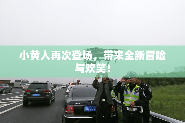 小黄人再次登场，带来全新冒险与欢笑！