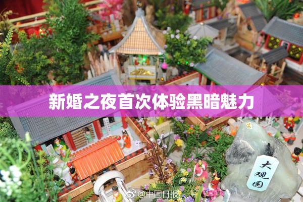 新婚之夜首次体验黑暗魅力