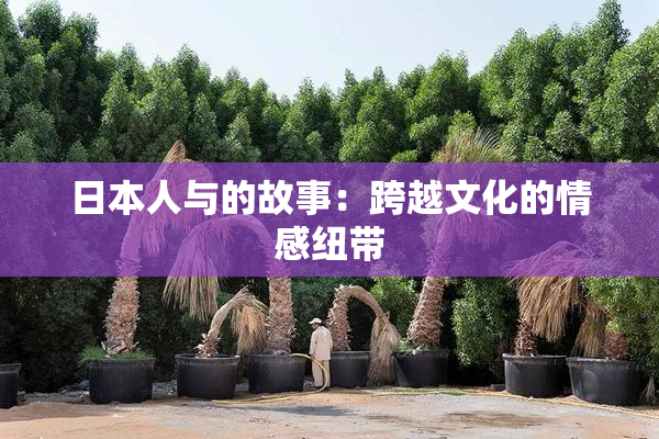 日本人与的故事：跨越文化的情感纽带