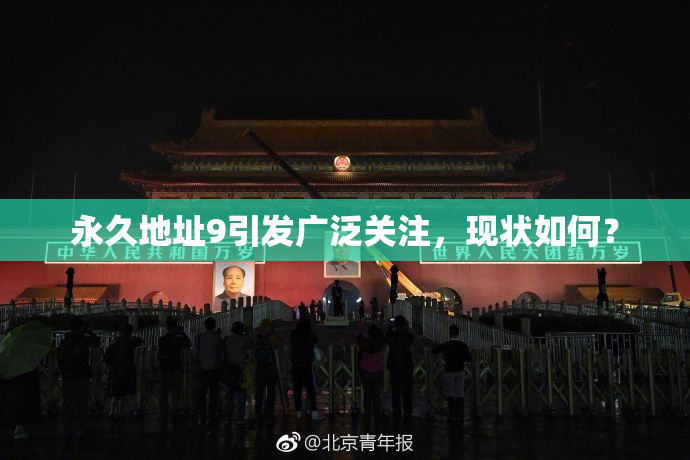 永久地址9引发广泛关注，现状如何？