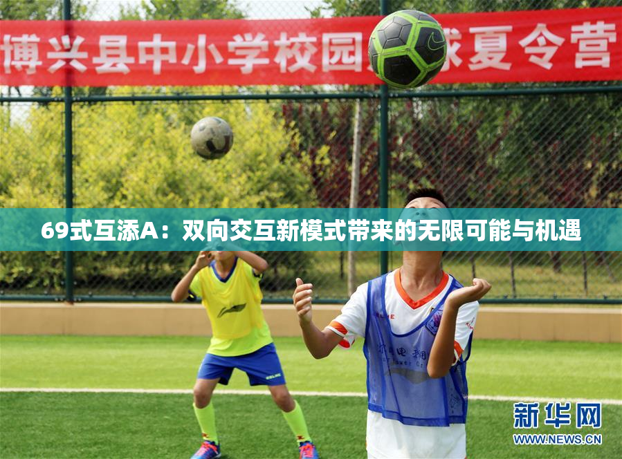 69式互添A：双向交互新模式带来的无限可能与机遇