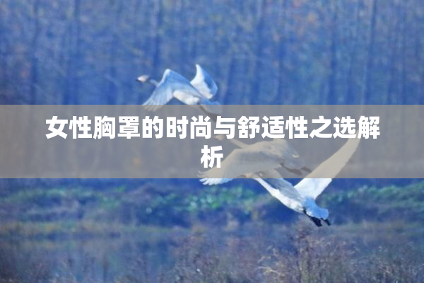 女性胸罩的时尚与舒适性之选解析