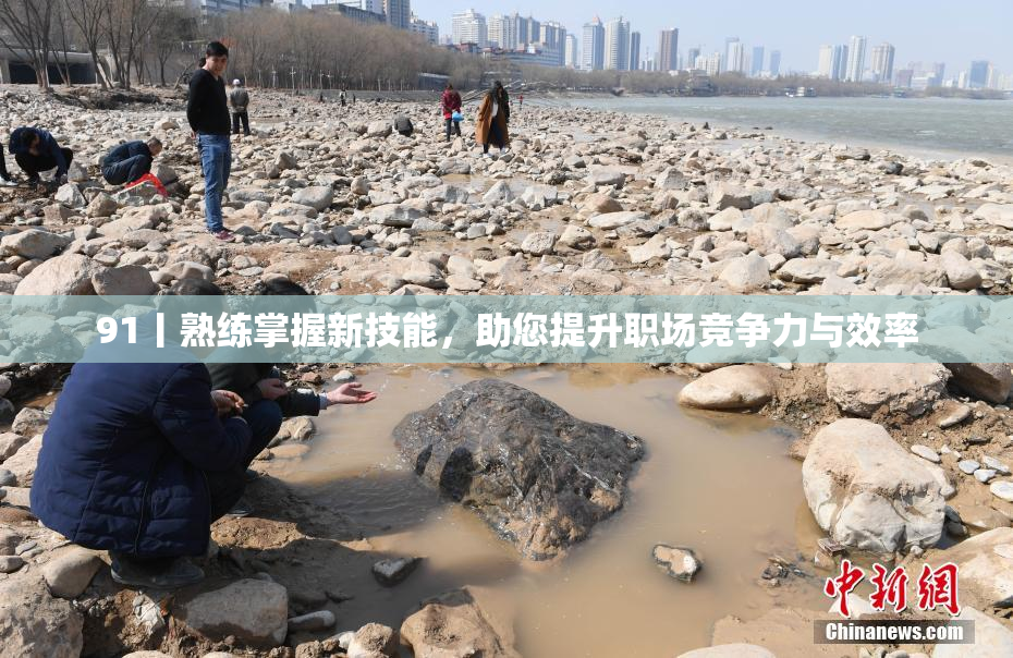 91丨熟练掌握新技能，助您提升职场竞争力与效率