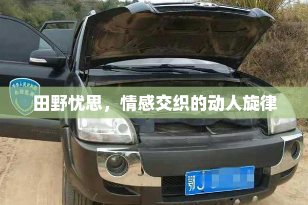 田野忧思，情感交织的动人旋律