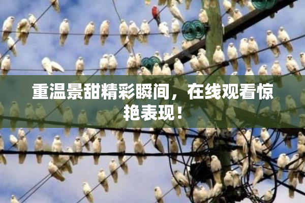 重温景甜精彩瞬间，在线观看惊艳表现！