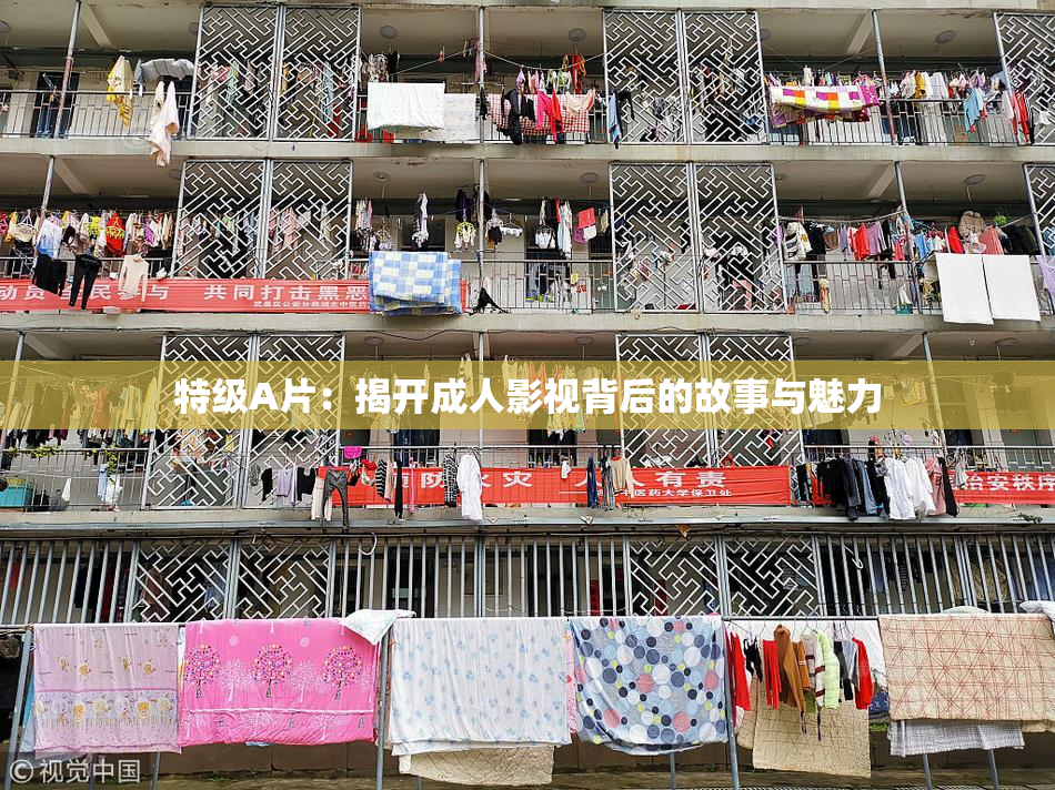 特级A片：揭开成人影视背后的故事与魅力