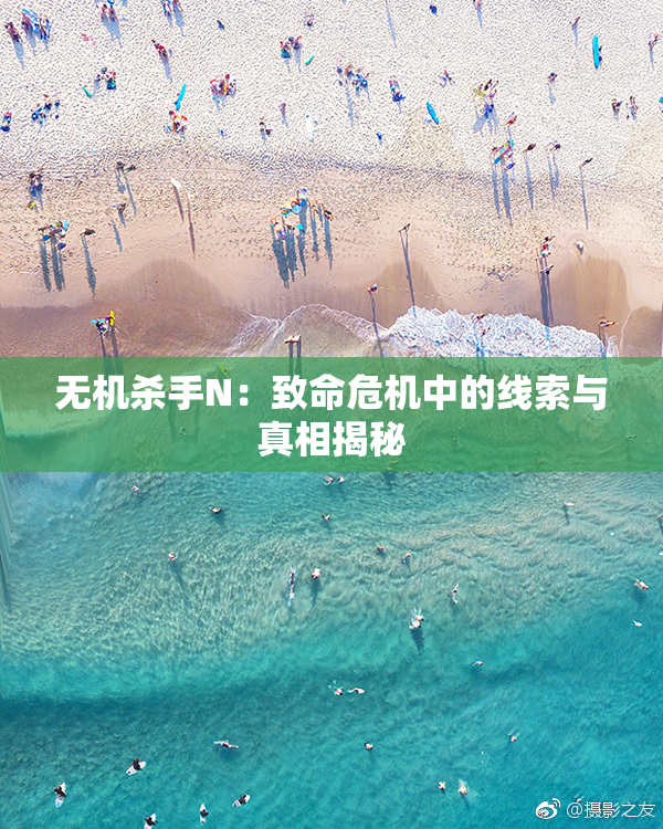 无机杀手N：致命危机中的线索与真相揭秘