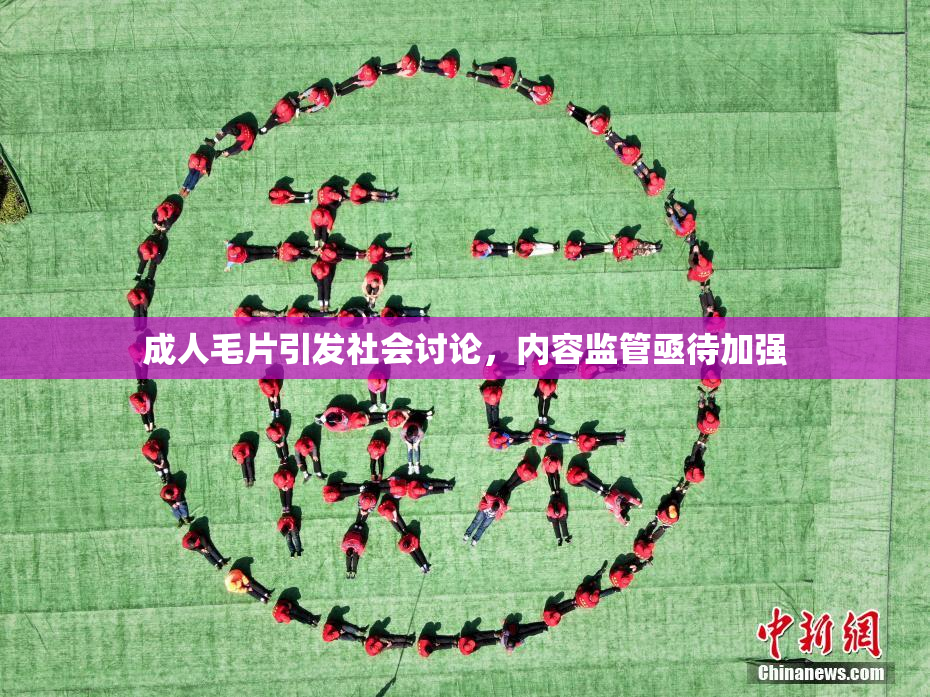 成人毛片引发社会讨论，内容监管亟待加强