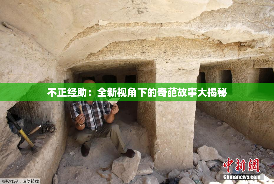 不正经助：全新视角下的奇葩故事大揭秘