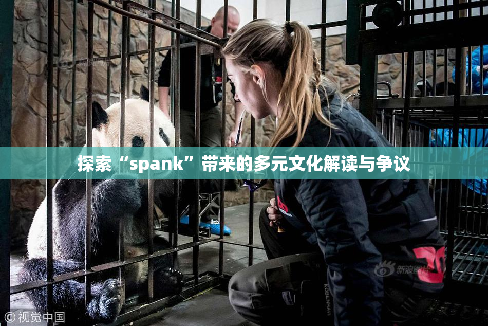 探索“spank”带来的多元文化解读与争议