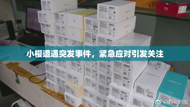 小樱遭遇突发事件，紧急应对引发关注