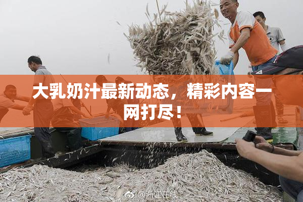 大乳奶汁最新动态，精彩内容一网打尽！