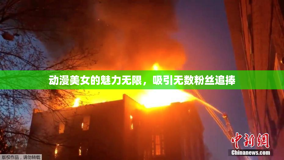 动漫美女的魅力无限，吸引无数粉丝追捧