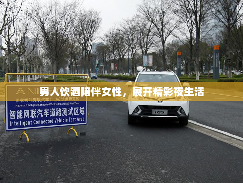男人饮酒陪伴女性，展开精彩夜生活