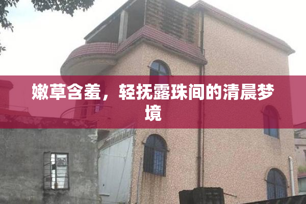 嫩草含羞，轻抚露珠间的清晨梦境