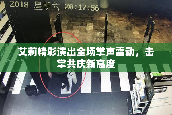 艾莉精彩演出全场掌声雷动，击掌共庆新高度