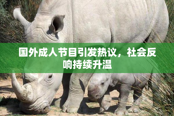 国外成人节目引发热议，社会反响持续升温