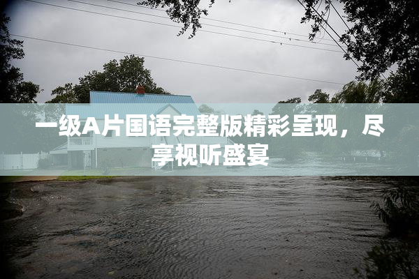 一级A片国语完整版精彩呈现，尽享视听盛宴