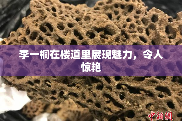 李一桐在楼道里展现魅力，令人惊艳
