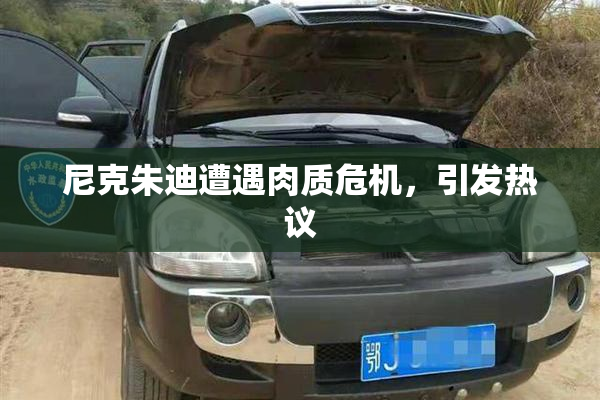 尼克朱迪遭遇肉质危机，引发热议