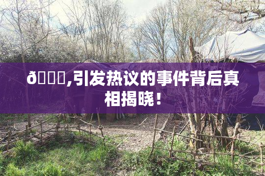 🈚,引发热议的事件背后真相揭晓！